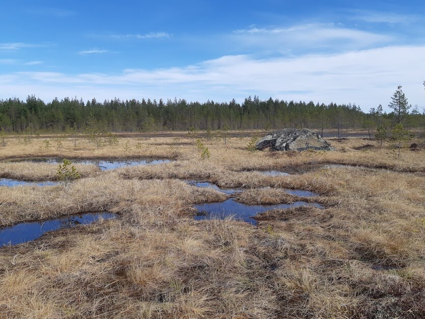 Näkymä Joutennevalta